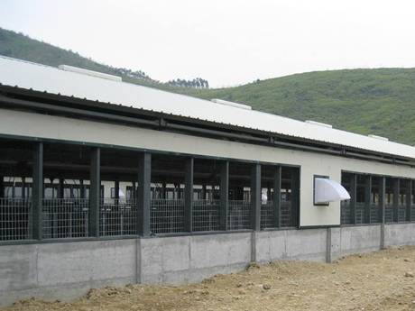 Poultry farming steel gratings are used in the pig farm.