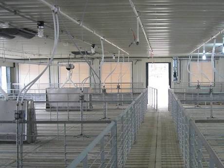 Poultry farming steel gratings are used as fence to prevent poultry from running out.