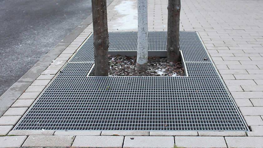 Three trees were surrounded by pressed steel grating.
