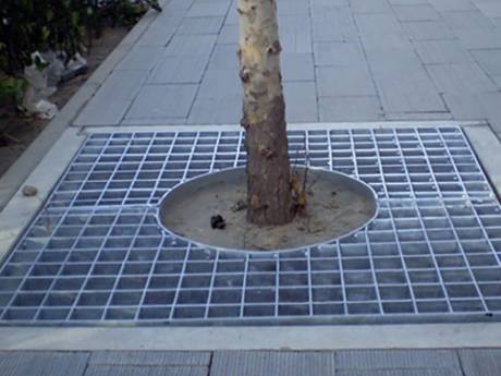 Une grille en acier de couverture d&#39;arbre est installée à un arbre à côté de la route.